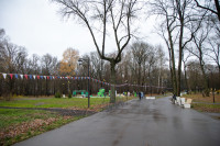 Сквер им. 30-летия ВЛКСМ в Новомосковске, Фото: 73