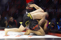 Битва за Тулу-2026, Фото: 203