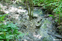 В реку Иншинку несколько лет стекает канализация, Фото: 7