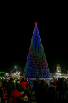 Открытие новогодней ёлки на площади Ленина, Фото: 40