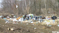 Поселок Славный в Тульской области зарастает мусором, Фото: 28