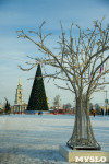 Новогодняя ёлка на площади Ленина, Фото: 3