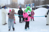 Соревнования "Лед надежды нашей", Фото: 28