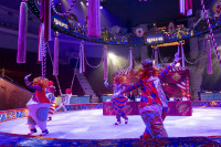 Цирковое шоу 5 континентов , Фото: 29