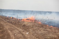 Возгорание сухой травы напротив ТЦ "Метро", 7.04.2014, Фото: 1
