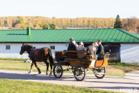 Золотая осень в Ясной Поляне, Фото: 60