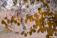 Золотая осень по-тульски, Фото: 118