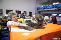 В Туле прошла выставка «Пряничные кошки» , Фото: 65