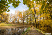 Золотая осень в Ясной Поляне, Фото: 78