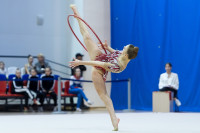 Художественная гимнастика, Фото: 46