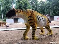 В Туле появился парк с интерактивными динозаврами, Фото: 33