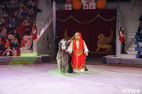 Шоу слонов в Тульском цирке, Фото: 40