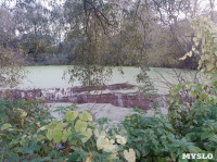 "Кровавая" вода в пруду в Михалково, Фото: 4