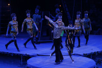 В Тульском цирке прошла премьера аква-шоу, Фото: 52