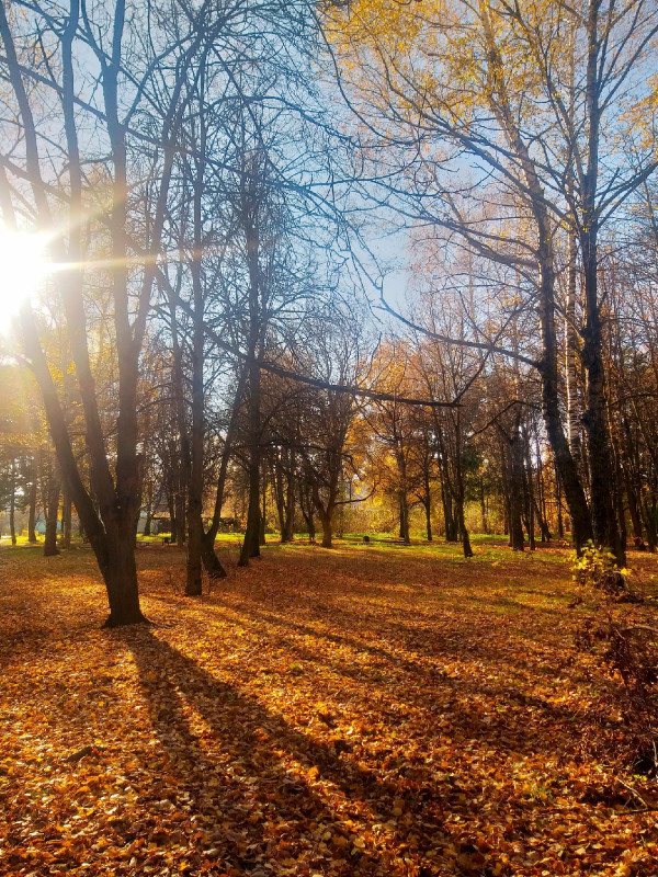 г.Советск