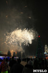 Открытие главной ёлки на площади Ленина, Фото: 44