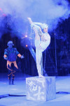В Тульском цирке прошла премьера аква-шоу, Фото: 37