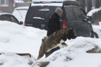 Снежный апокалипсис в Туле: фоторепортаж с улиц города, Фото: 21