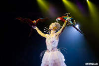 Шоу фонтанов «13 месяцев»: успей увидеть уникальную программу в Тульском цирке, Фото: 63