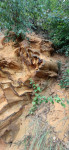 Каменный лес под Тулой, Фото: 1