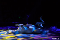 Туляков приглашают на новогоднее представление «Ёлка в цирке», Фото: 80