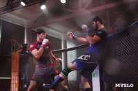 Финалы турнира по MMA памяти Алексея Калинина проходят в Новомосковске, Фото: 2
