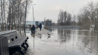 Затопленный Баташевский сад, Фото: 13