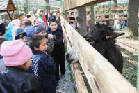 В Новомосковске открылся мини-зоопарк, Фото: 10