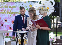 Единая регистрация брака в Тульском кремле, Фото: 4