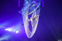 Шоу Гии Эрадзе «5 континентов» в Тульском цирке: феерия уже началась!, Фото: 62