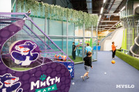 День добра в «Мисти парке»: игры, улыбки и море развлечений, Фото: 25