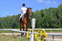 В Ясной поляне стартовал турнир по конному спорту, Фото: 99