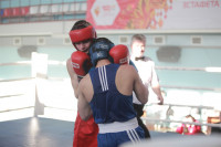 Первенство Тульской области по боксу, Фото: 47