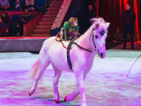 Шоу «Жар-птица», Фото: 20