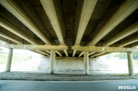 Рейд Myslo: в каком состоянии Тульские мосты, Фото: 41