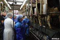 Конкурс профессионального мастерства среди операторов машинного доения коров, Фото: 37
