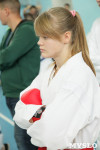 Открытое первенство и чемпионат Тульской области по каратэ (WKF)., Фото: 26