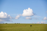 Тишина, солнце и бесконечный простор: 90 красивых фото с родины слонов – Одоевского района, Фото: 66