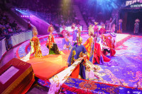Шоу Гии Эрадзе «5 континентов» в Тульском цирке: феерия уже началась!, Фото: 17