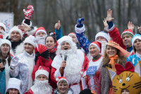 Забег Дедов Морозов в Туле, Фото: 12
