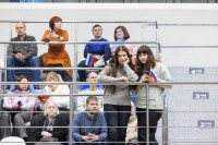 Концерт SHAMAN 31 января 2026, Фото: 6