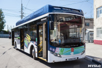 Электробус может заменить в Туле троллейбусы и автобусы, Фото: 13