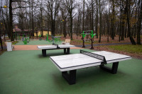 Сквер им. 30-летия ВЛКСМ в Новомосковске, Фото: 94