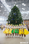 В Тульском кремле открылась новогодняя елка, Фото: 57