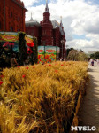 Цветочный джем: Тульское поле в Москве, Фото: 8