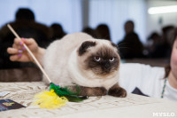 В Туле прошла выставка «Пряничные кошки» , Фото: 75