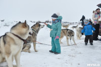 Праздник северных собак на Куликовом поле , Фото: 54