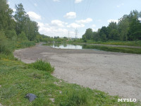 Пруд в Рогожинском парке продолжает мелеть - туляки, Фото: 4