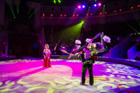 "Чудеса под Новый год" в Тульском цирке, Фото: 15