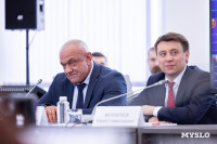 В Тульской области комплексно обновят парки в Белеве, Суворове и Ясногорске, Фото: 30